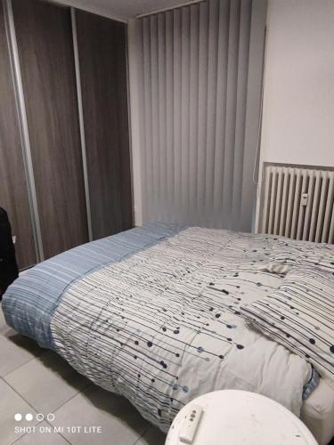 Murat appartement 3 pieces, Strasbourg (photo 9)
