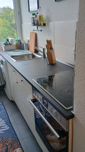 Oase Coswig Ferienwohnung in Coswig