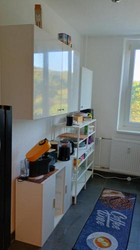 Oase Coswig Ferienwohnung in Coswig