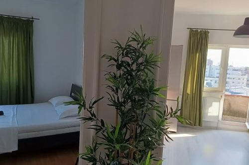 BNR - Ultracentral Haven Studio