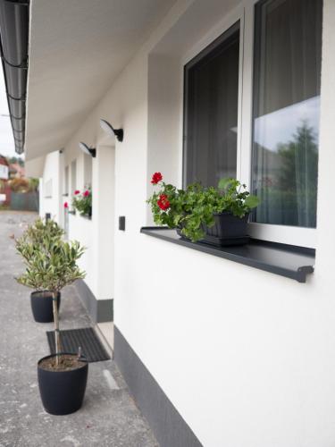 Apartmán KOLKÁREŇ (Apartman KOLKAREN) in Kovacova