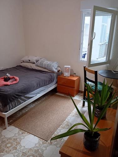 Großes modernes Zimmer Silber für 2 Personen und Katzenliebhaber, Valencie (fotografie 3)