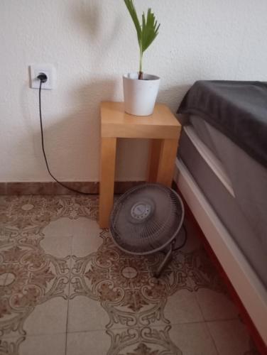 Großes modernes Zimmer Silber für 2 Personen und Katzenliebhaber, Valencie (fotografie 9)