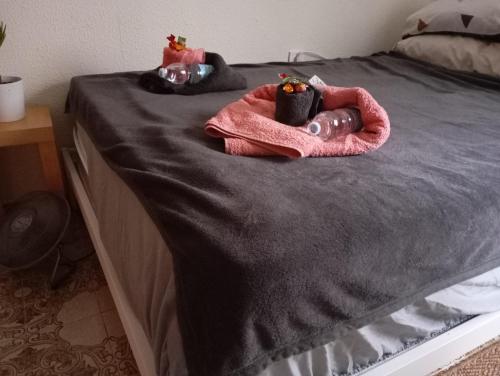 Großes modernes Zimmer Silber für 2 Personen und Katzenliebhaber, Valencie (fotografie 7)