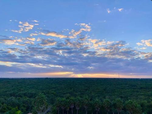 Best Sunset Spot in Cozumel! in Cozumel, Mexico