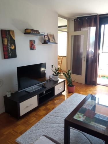 Rose Dobrinja Rose Dobrinja