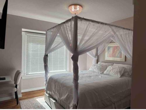 Sunny Lavender Canopy Retreat in Cleveland, USA