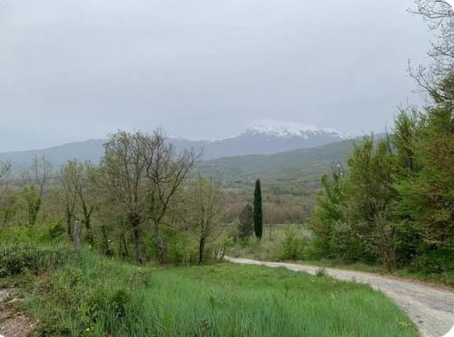 Casa Luciana in Cantalupo nel Sannio