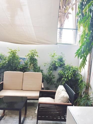 Serenity appart' Mamelles