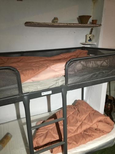 エスリダ HikerBiker hostel 2つ星 ホテル 客室