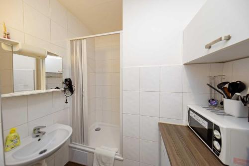 One-Bedroom Apartment image 3