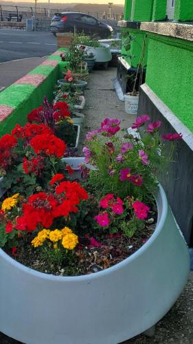 Ash Hotel B&B – Exmouth