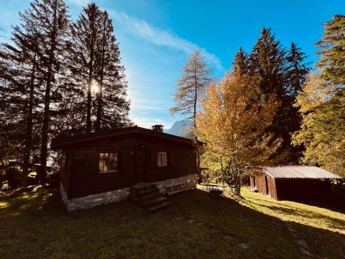 Schönes Chalet in Adelboden, Adelboden (fotografie 4)