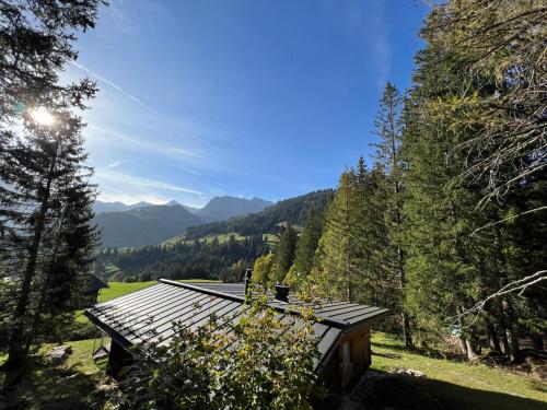 Schönes Chalet in Adelboden, Adelboden (fotografie 6)