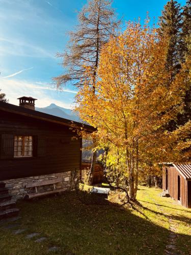 Schönes Chalet in Adelboden, Adelboden (fotografie 5)