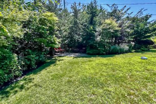 Bird Street Breeze Bird Street Breeze