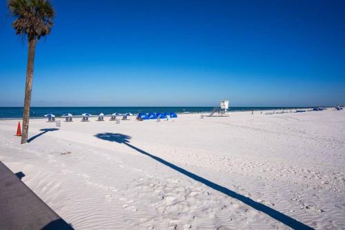 Minutes Away from Clearwater Beach in Clearwater, USA