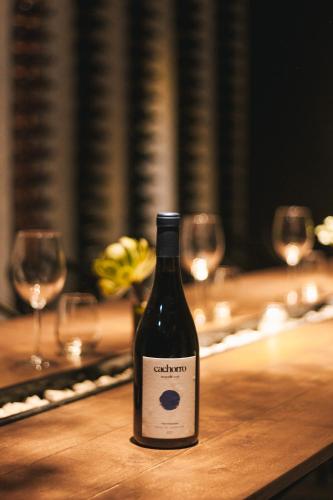 Origen75 Loft - Villas - Skypool - Viñedo, Valle de Guadalupe