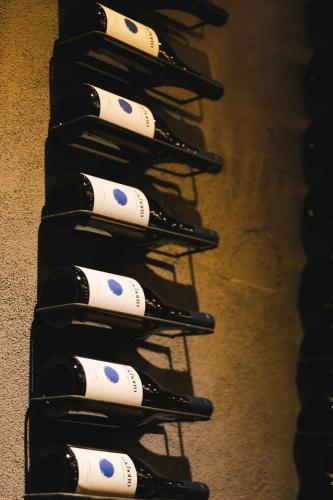 Origen75 Loft - Villas - Skypool - Viñedo, Valle de Guadalupe