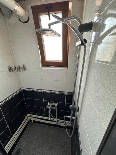 Three-Bedroom Apartment image 2