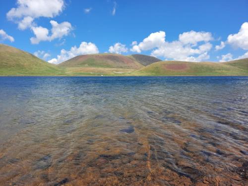 Wild Rest in Abovyan