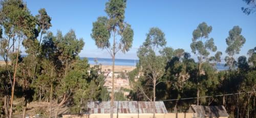 La Esperanza Carabuco in Challapampa