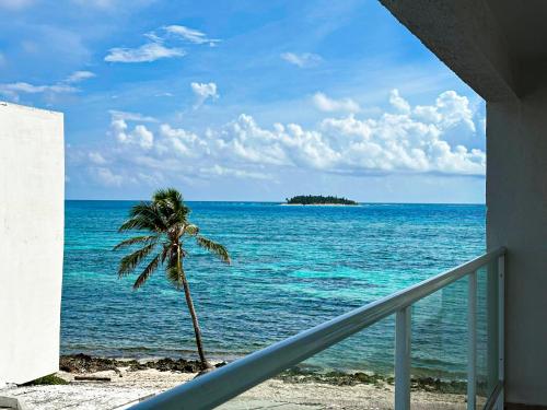 Caribbean Island Hotel - 해변
