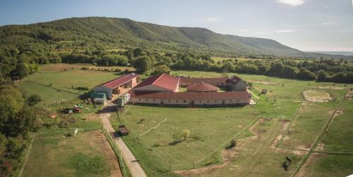 Tótvár lovas szálláshely - image 11