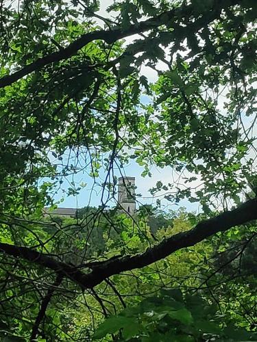 Gite Castillonnes Bastide Périgord 2 Chambres (Gite Castillonnes Bastide Perigord 2 Chambres) in Castillonnes