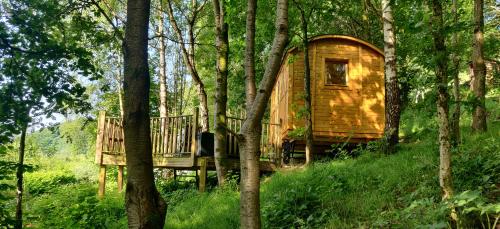 Viesnīcas āriene, Pike's Cabin in the Woods in Blackshaw