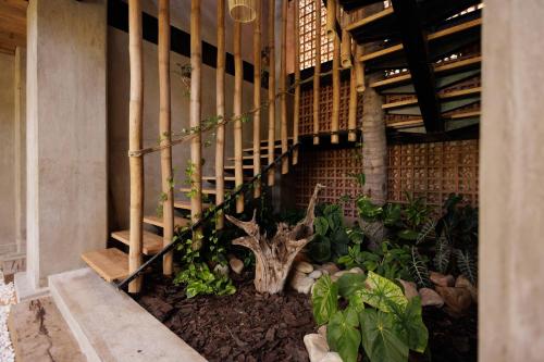 Casa Badú 2