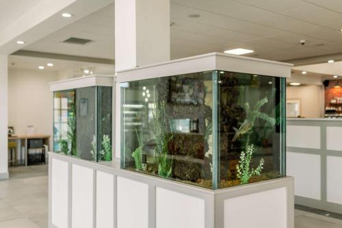 Hilton Garden Inn Outer Banks/Kitty Hawk - image 11