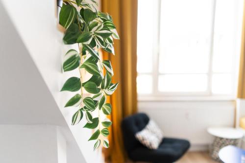 D52 - DAS BUSINESSAPARTMENT --- 2 Minuten vom Flughafen entfernt, Drážďany (fotografie 10)