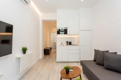 Apartamento Plaza de Toros Madrid NSGB, Мадрид (фото 10)