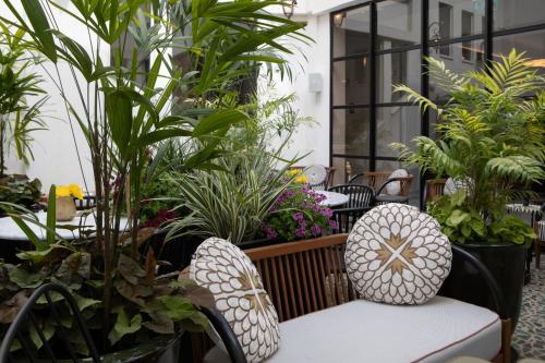 花園, Rephael House Boutique Hotel in 南特拉維夫