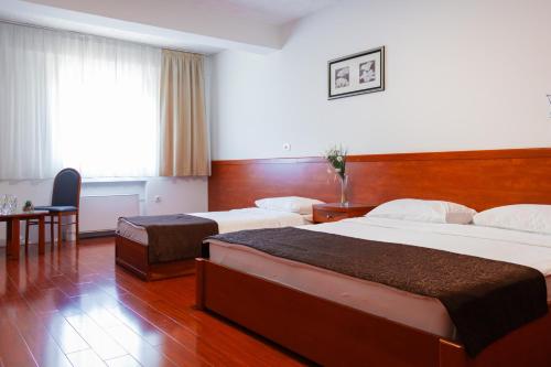 Hotel Saraj - image 11