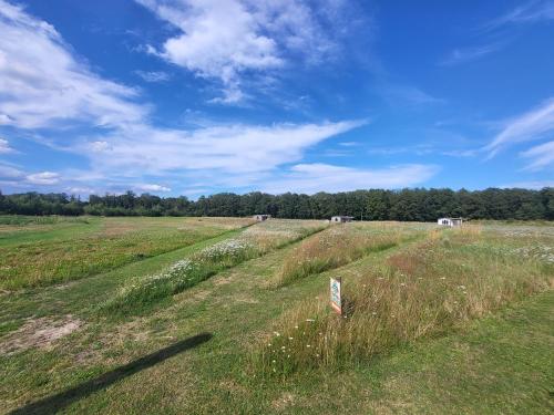  Hoeve Twente - Oeverzwaluw in Heythuysen