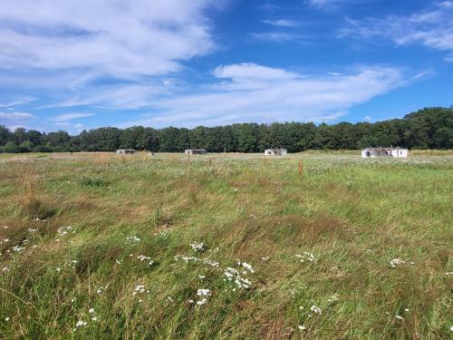  Hoeve Twente - Oeverzwaluw in Heythuysen