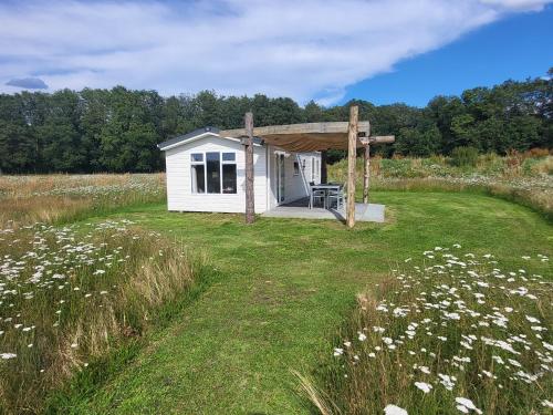  Hoeve Twente - De Bonte Specht in Heythuysen