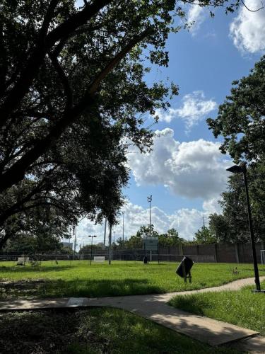 Spacious 1 Bdrm Studio Montrose - Tap to explore photos