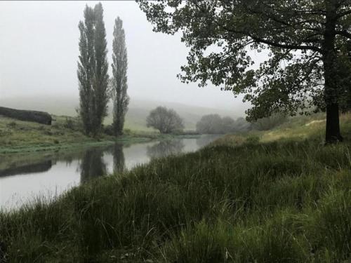 Tin Can Glamping Caravan Tin Can Glamping Caravan