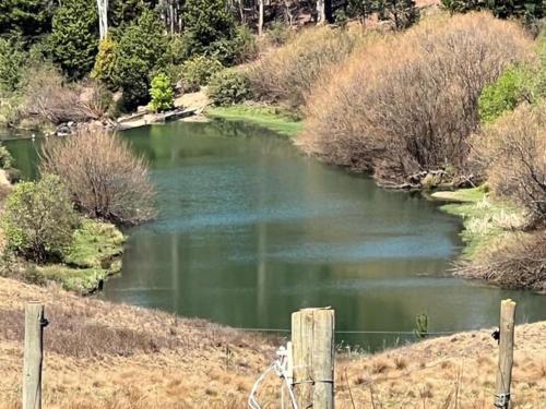 Tin Can Glamping Caravan Tin Can Glamping Caravan