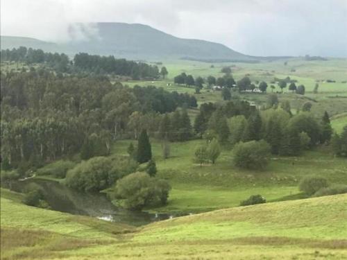 Tin Can Glamping Caravan Tin Can Glamping Caravan