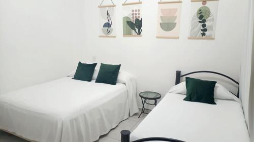 Tauch Cancún Centro 2