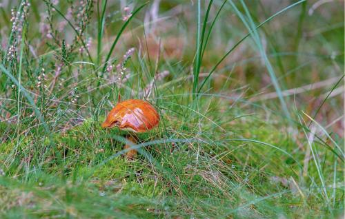 Lovely Home In Vig With Wifi