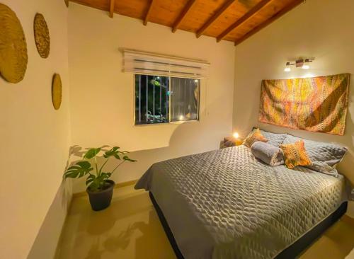 Azulejo - Guest House, Medellín (photo 6)