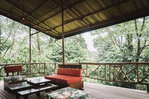 Bonita casa con piscina en amazonia in Cotundo