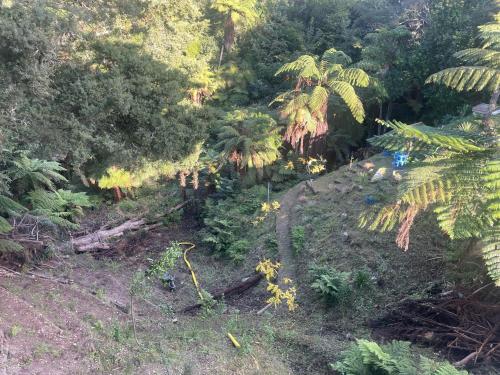 Gully Retreat in ฟอเรสต์ เลค
