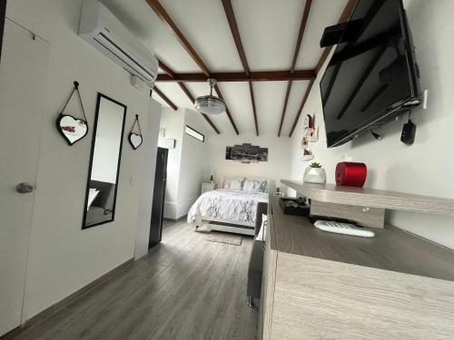 Modern apartment/Studio