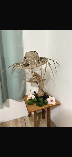 บริการและสิ่งอำนวยความสะดวก, Vairou Lodge Bora Bora in อาเนา